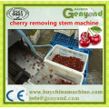 Amazing Cherry Stem Removing Machine, Cherry/Fruit Processing Machine